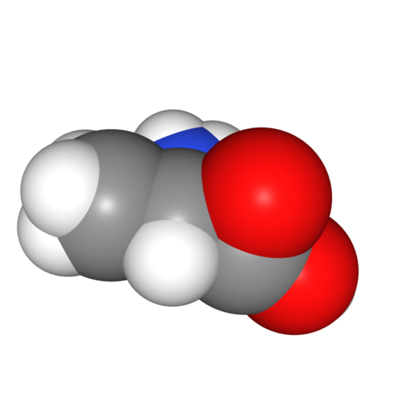 Alanine Molecule